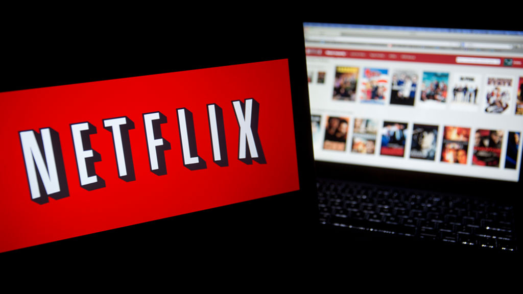 Detailed netflix business model