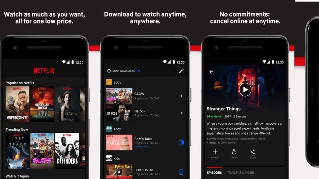 Netflix Media and Entertainment app